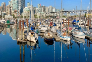 Passeio particular de bicicleta/e-Bike ao pôr do sol em Vancouver