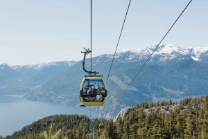 Visite privée de Whistler, télécabine Sea to Sky, chutes Shannon et lac Green