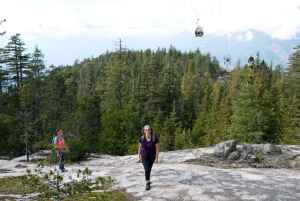 Visite privée de Whistler, télécabine Sea to Sky, chutes Shannon et lac Green