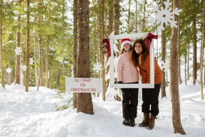 Visite privée de Whistler, télécabine Sea to Sky, chutes Shannon et lac Green
