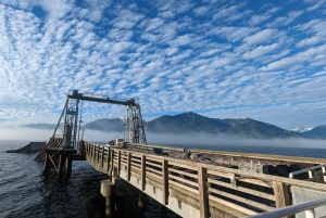 Visite privée de Whistler, télécabine Sea to Sky, chutes Shannon et lac Green