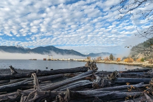 Visite privée de Whistler, télécabine Sea to Sky, chutes Shannon et lac Green