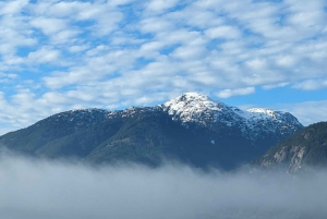 Visite privée de Whistler, télécabine Sea to Sky, chutes Shannon et lac Green