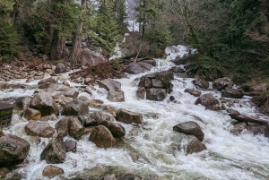 Visite privée de Whistler, télécabine Sea to Sky, chutes Shannon et lac Green