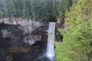 Visite privée de Whistler, télécabine Sea to Sky, chutes Shannon et lac Green