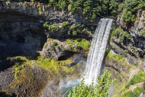 Visite privée de Whistler, télécabine Sea to Sky, chutes Shannon et lac Green