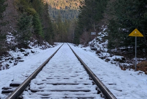 Visite privée de Whistler, télécabine Sea to Sky, chutes Shannon et lac Green