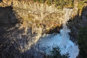 Visite privée de Whistler, télécabine Sea to Sky, chutes Shannon et lac Green