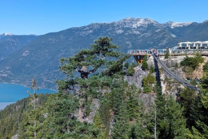 Visite privée de Whistler, télécabine Sea to Sky, chutes Shannon et lac Green