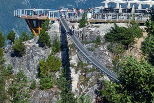 Visite privée de Whistler, télécabine Sea to Sky, chutes Shannon et lac Green