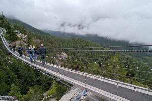 Visite privée de Whistler, télécabine Sea to Sky, chutes Shannon et lac Green