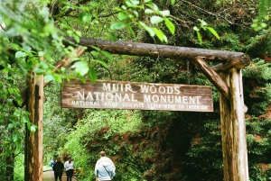 San Francisco: Muir Woods, Sausalito och Battery Spencer – en rundtur