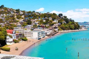 San Francisco: Muir Woods, Sausalito och Battery Spencer – en rundtur