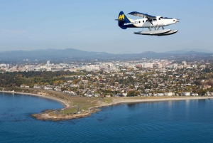 Naturskøn flyvning med vandfly: Vancouver til Victoria (enkelt)