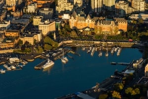 Naturskøn flyvning med vandfly: Vancouver til Victoria (enkelt)