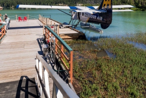 Voo panorâmico de hidroavião: Vancouver para Whistler (ida)
