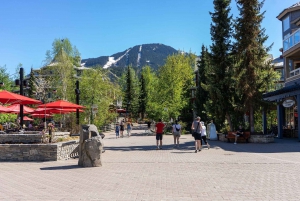 Sea to Sky Highway: Whistler & the Sea to Sky Gondola Tour