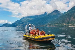 Sea Vancouver: City and Waterfall Sightseeing RIB Tour