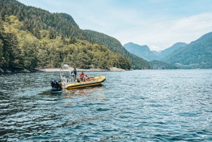 Sea Vancouver: City and Waterfall Sightseeing RIB Tour