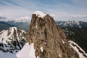 SKY Heli-Tour de Vancouver (Centro)