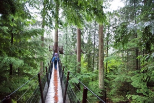 Small group tour of Capilano Bridge & Grouse Mountain