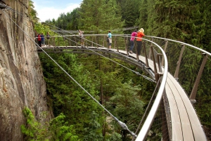 Small group tour of Capilano Bridge & Grouse Mountain