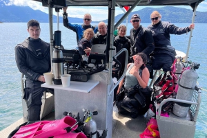 Snorkeling Seals Paddling Wildlife Boat Tour in Vancouver