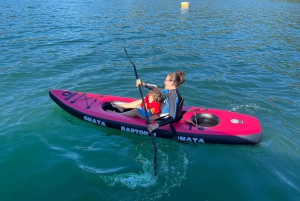 Snorkeling Seals Paddling Wildlife Boat Tour in Vancouver