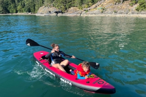 Snorkeling Seals Paddling Wildlife Boat Tour in Vancouver