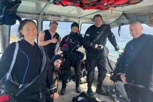 Snorkeling Seals Paddling Wildlife Boat Tour in Vancouver