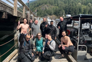 Snorkeling Seals Paddling Wildlife Boat Tour in Vancouver