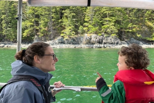 Snorkeling Seals Paddling Wildlife Boat Tour in Vancouver