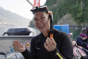 Snorkeling Seals Paddling Wildlife Boat Tour in Vancouver