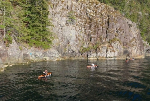 Snorkeling Seals Paddling Wildlife Boat Tour in Vancouver