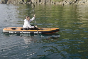 Snorkeling Seals Paddling Wildlife Boat Tour in Vancouver