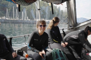 Snorkeling Seals Paddling Wildlife Boat Tour in Vancouver