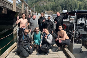 Snorkeling Seals Paddling Wildlife Boat Tour in Vancouver