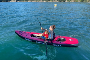 Snorkeling Seals Paddling Wildlife Boat Tour in Vancouver