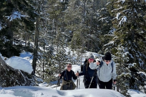 Snowshoeing på toppen av havet til himmelen gondol