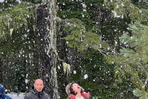 Snowshoeing på toppen av havet til himmelen gondol