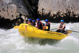 Squamish: esperienza di rafting Elaho Exhilarator, bagnati e selvaggi