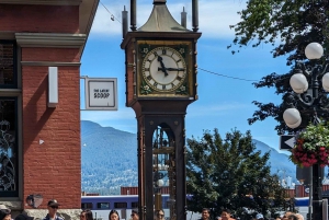 Stanley Pak-Ponte Susp de Capilano e Grouse Mount Tour particular