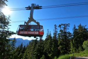 Stanley Pak-Capilano Susp Bridge & Grouse Mount Private Tour