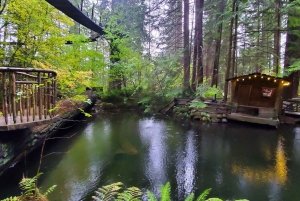 Stanley Pak-Capilano Susp Bridge & Grouse Mount Private Tour