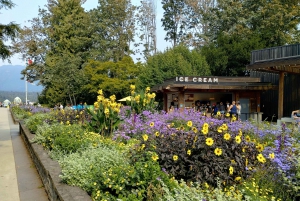 Stanley Park Car Tour: Comfort&Cheaper Than Bike Rental/Tour