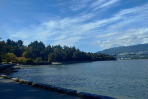 Stanley Park Car Tour: Comfort&Cheaper Than Bike Rental/Tour