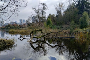 Stanley Park Car Tour: Comfort&Cheaper Than Bike Rental/Tour