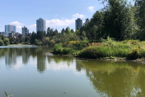 Stanley Park Car Tour: Comfort&Cheaper Than Bike Rental/Tour