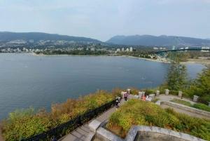 Stanley Park Car Tour: Comfort&Cheaper Than Bike Rental/Tour