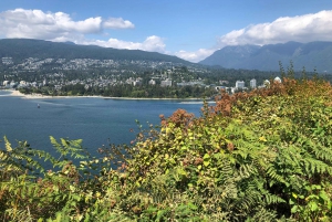 Stanley Park Car Tour: Comfort&Cheaper Than Bike Rental/Tour